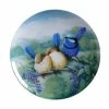 Birds of Australia 10 year Anniversary Plate 20cm Splendid Fairy Wren