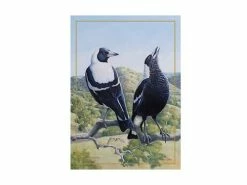 Birds of Australia 10 year Anniversary Tea Towel 50x70cm Magpie